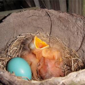 Meet your Posher, Melanie